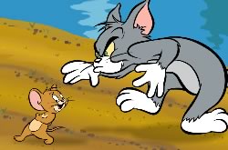 Lago do Tom e Jerry