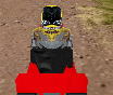 Lawnmower Racing 3d