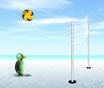 Funny Volleyball