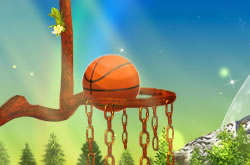 Nature Basketball