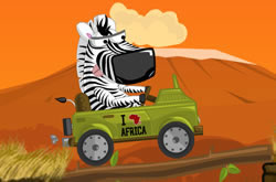 Zebra Safari