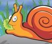 Hungey Snail