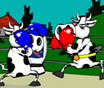 Fighter Cow