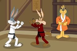 Karate Looney Tunes