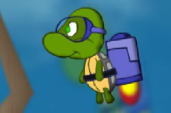Turtle Flight